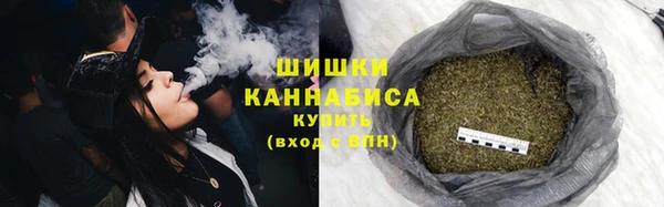 PSILOCYBIN Беломорск