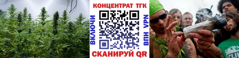 как найти закладки  Светогорск  нарко площадка официальный сайт  Дистиллят ТГК Wax 