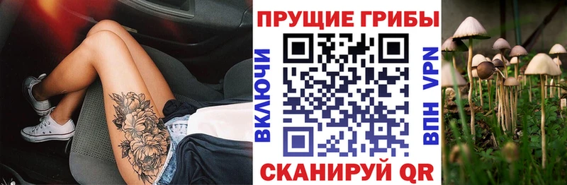 хочу   Светогорск  Псилоцибиновые грибы ЛСД 